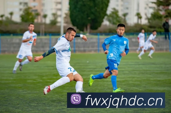 开云app网页登录入口发展历程